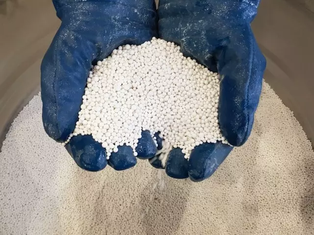DESICCANT GRANULES